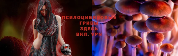 спайс Бородино