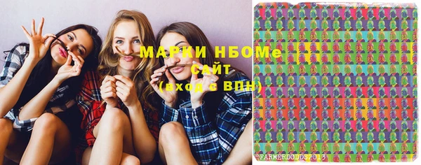 сатива Бронницы