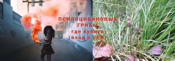 спайс Бородино
