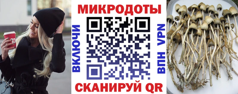 сколько стоит  MEGA как зайти  Галлюциногенные грибы Magic Shrooms  Рязань 